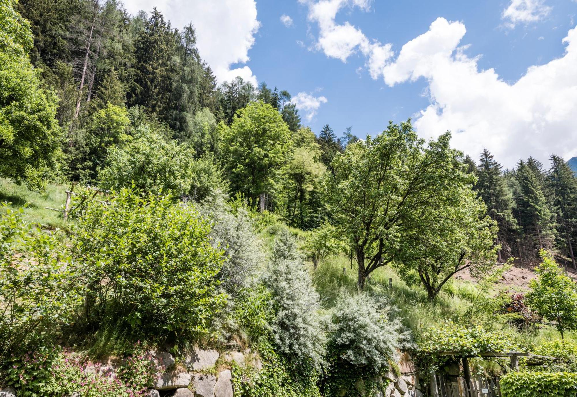 Naturresidenz Mair Zu Hof Campo Tures Luaran gambar